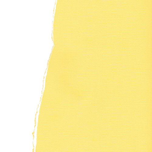 Кардсток текстурированный БЛЕДНО-ПЕСОЧНЫЙ, 30,5*30,5 см, 216 гр/м SCB 172312074 в магазине Арт-Леди