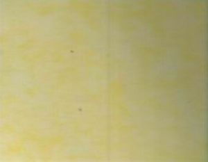 Рисовая бумага RENKALIK , 65х95, желтый 50, Италия, Ren-50 в магазине Арт-Леди