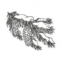 Прозрачный штамп "Еловая ветвь с шишками и снегом", 5 х 7,5 см, ПШ-20021 в магазине Арт-Леди